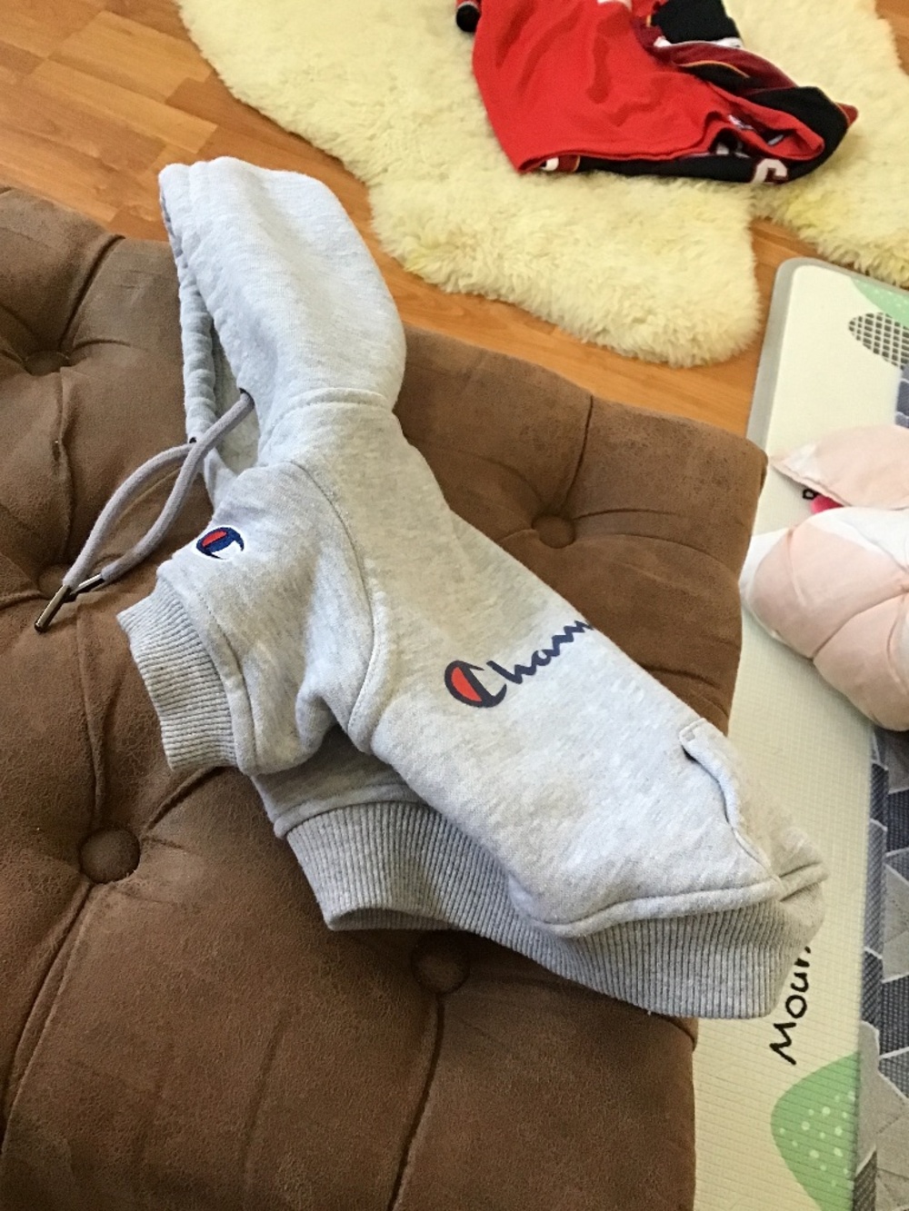Dog clothes